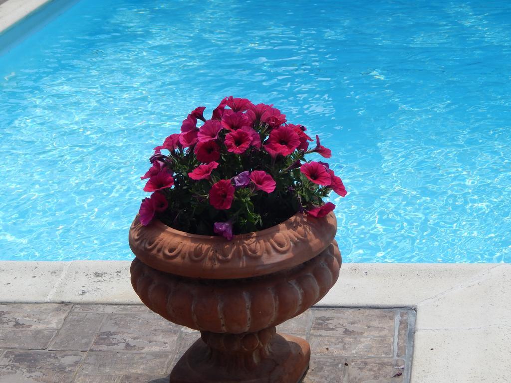 Slow Living Beautiful Villa ราฟีนา ภายนอก รูปภาพ